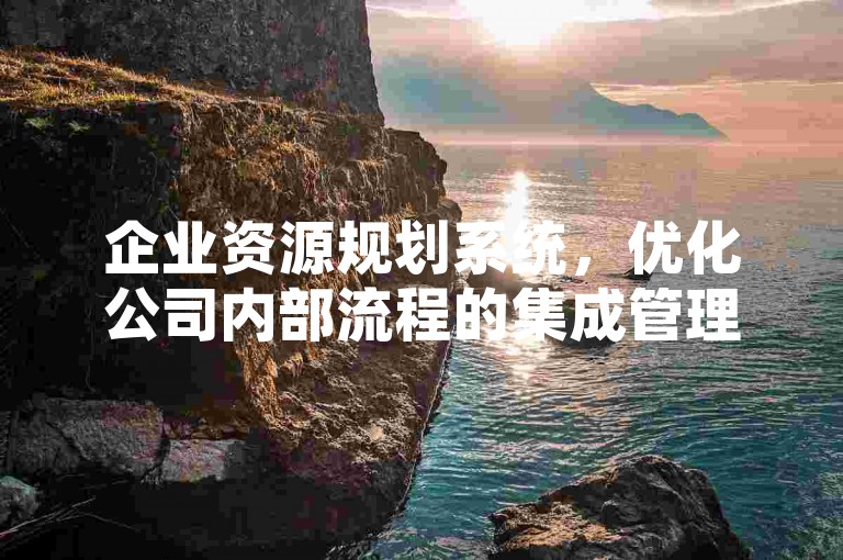 企业资源规划系统，优化公司内部流程的集成管理工具。