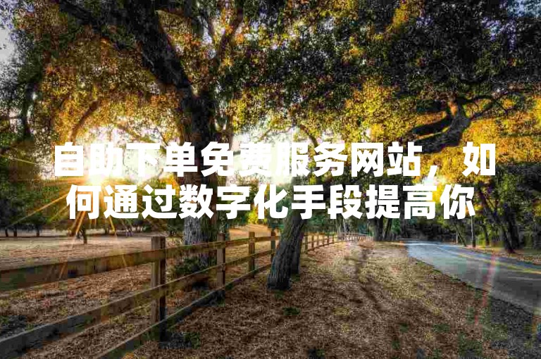 自助下单免费服务网站，如何通过数字化手段提高你的企业在线可见度？