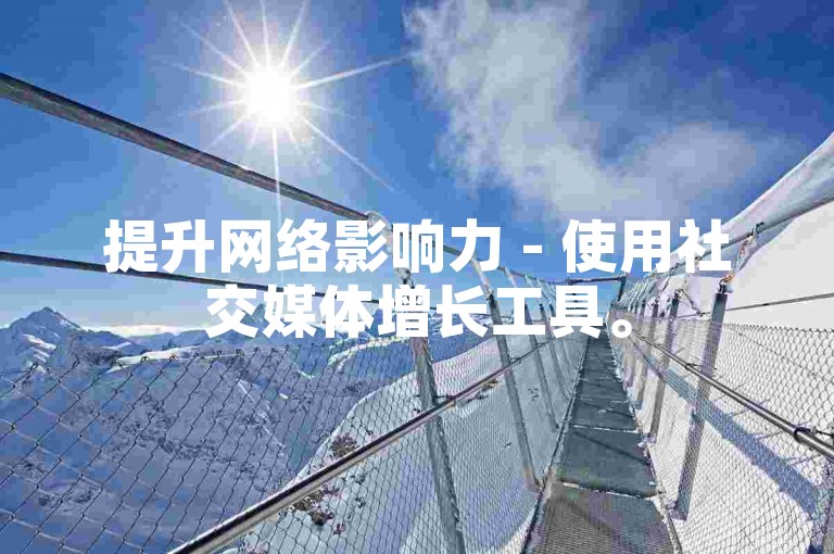 提升网络影响力 - 使用社交媒体增长工具。