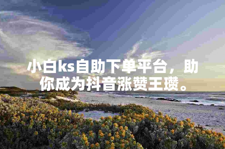 小白ks自助下单平台，助你成为抖音涨赞王瓒。