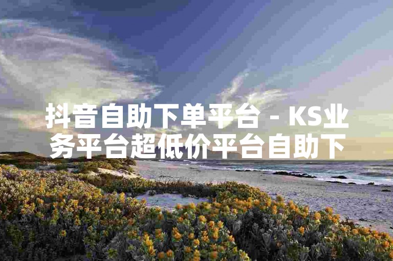 抖音自助下单平台 - KS业务平台超低价平台自助下单