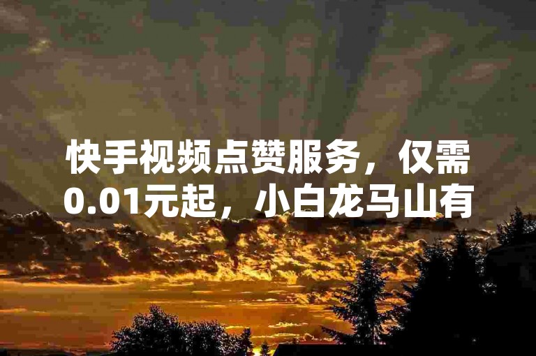 快手视频点赞服务，仅需0.01元起，小白龙马山有限公司提供dy币充值自助平台。