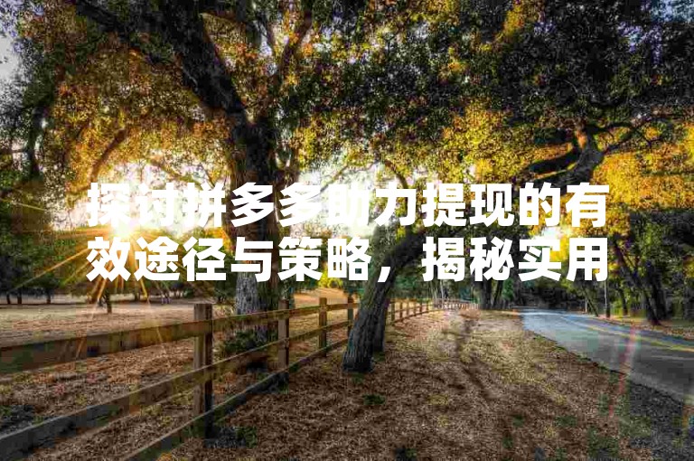 探讨拼多多助力提现的有效途径与策略，揭秘实用秘籍。