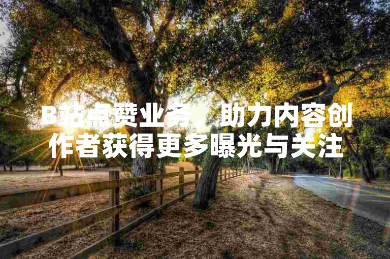 B站点赞业务，助力内容创作者获得更多曝光与关注。