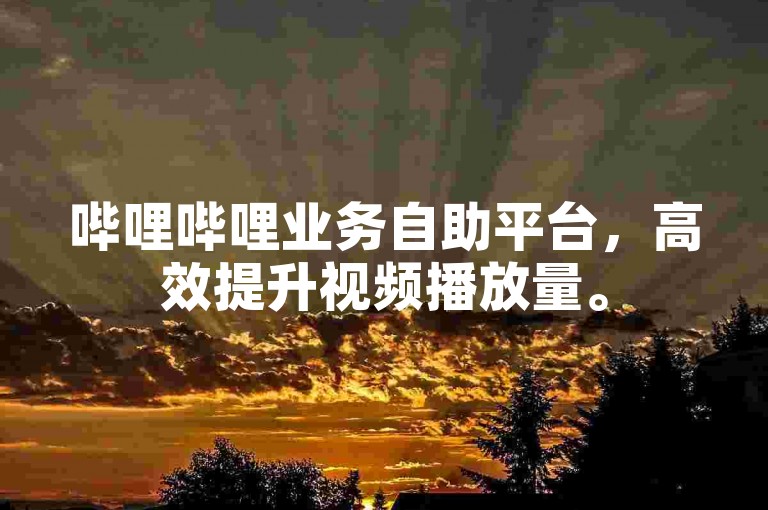 哔哩哔哩业务自助平台，高效提升视频播放量。