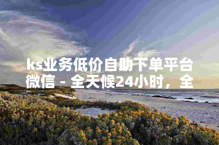 ks业务低价自助下单平台微信 - 全天候24小时，全网最低价自助服务。