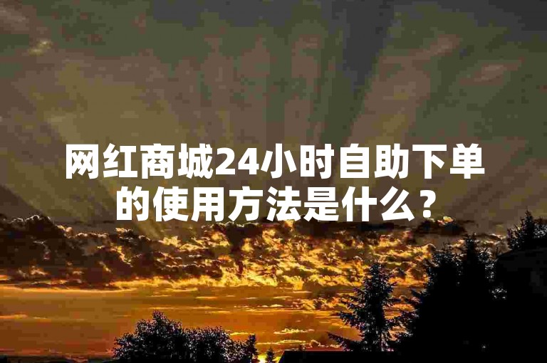 网红商城24小时自助下单的使用方法是什么？