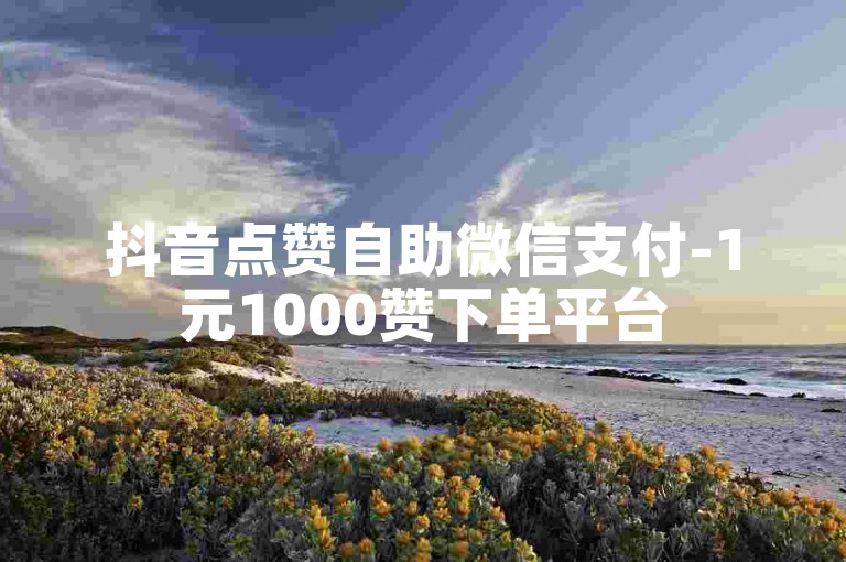 抖音点赞自助微信支付-1元1000赞下单平台