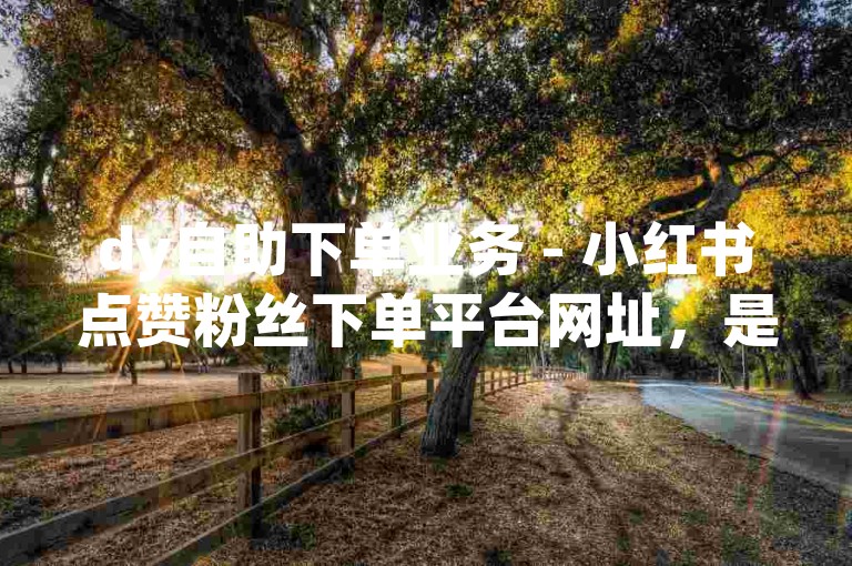 dy自助下单业务 - 小红书点赞粉丝下单平台网址，是您提升社交媒体影响力的便捷之选。