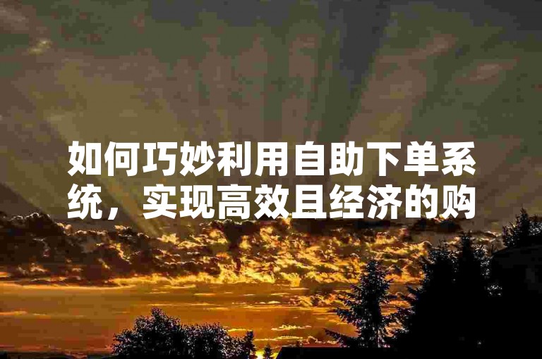 如何巧妙利用自助下单系统，实现高效且经济的购物体验？