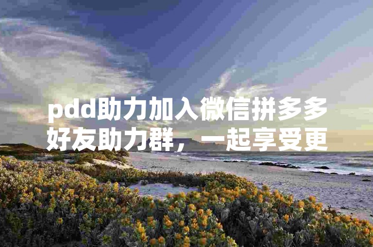 pdd助力加入微信拼多多好友助力群，一起享受更多优惠！