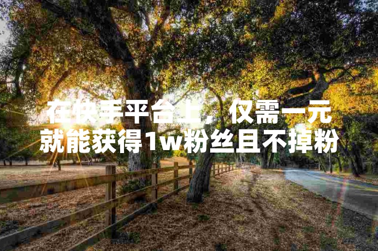 在快手平台上，仅需一元就能获得1w粉丝且不掉粉的秘诀在于达人掌握了保持万粉稳定不流失的独特方法。