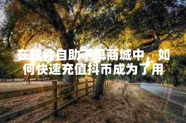 在软件自助下单商城中，如何快速充值抖币成为了用户关注的焦点。