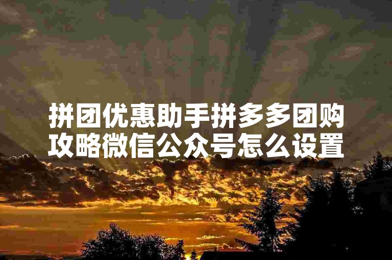 拼团优惠助手拼多多团购攻略微信公众号怎么设置