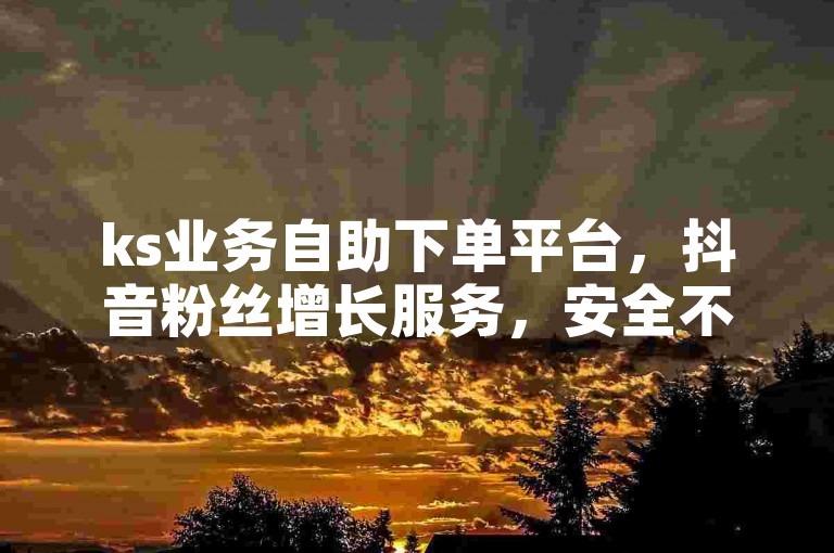 ks业务自助下单平台，抖音粉丝增长服务，安全不掉粉，快速在线下单。