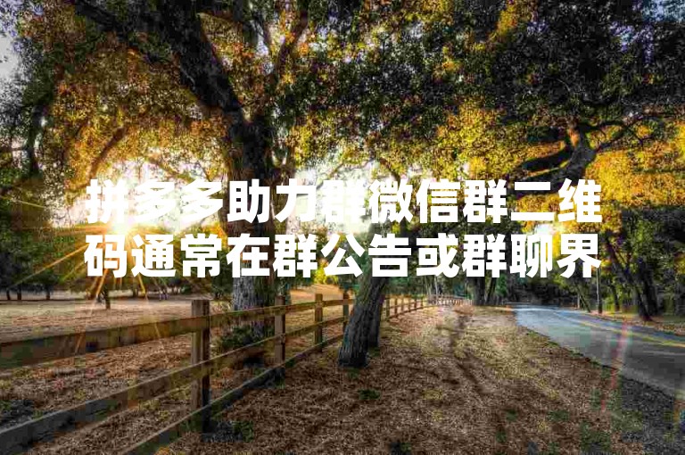 拼多多助力群微信群二维码通常在群公告或群聊界面的顶部展示，方便用户扫码加入。