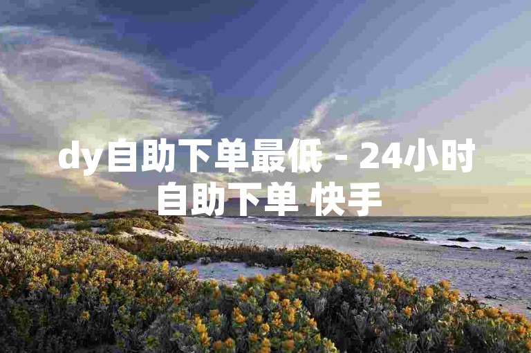 dy自助下单最低 - 24小时自助下单 快手