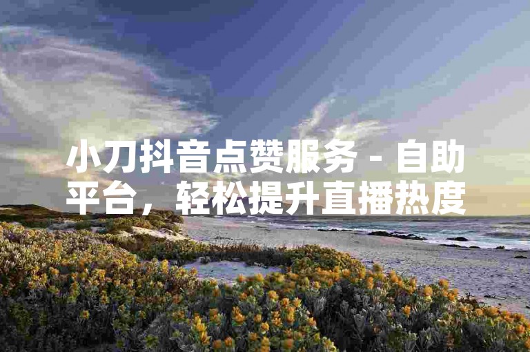 小刀抖音点赞服务 - 自助平台，轻松提升直播热度。