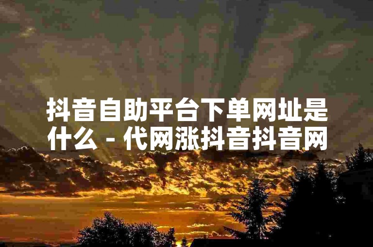 抖音自助平台下单网址是什么 - 代网涨抖音抖音网站