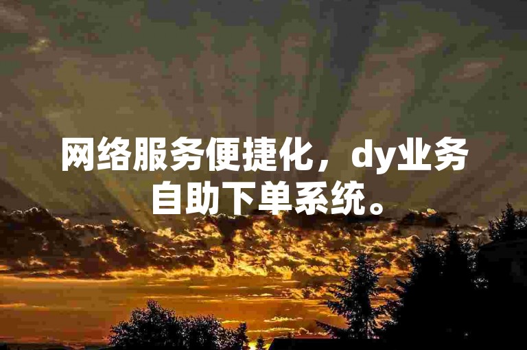 网络服务便捷化，dy业务自助下单系统。