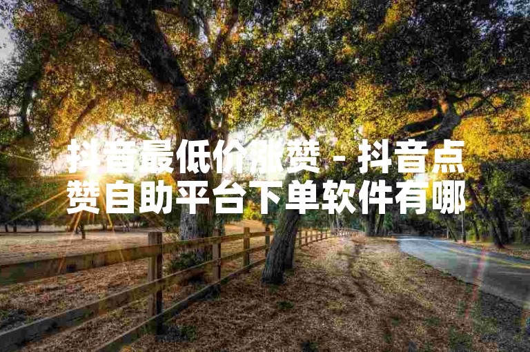 抖音最低价涨赞 - 抖音点赞自助平台下单软件有哪些
