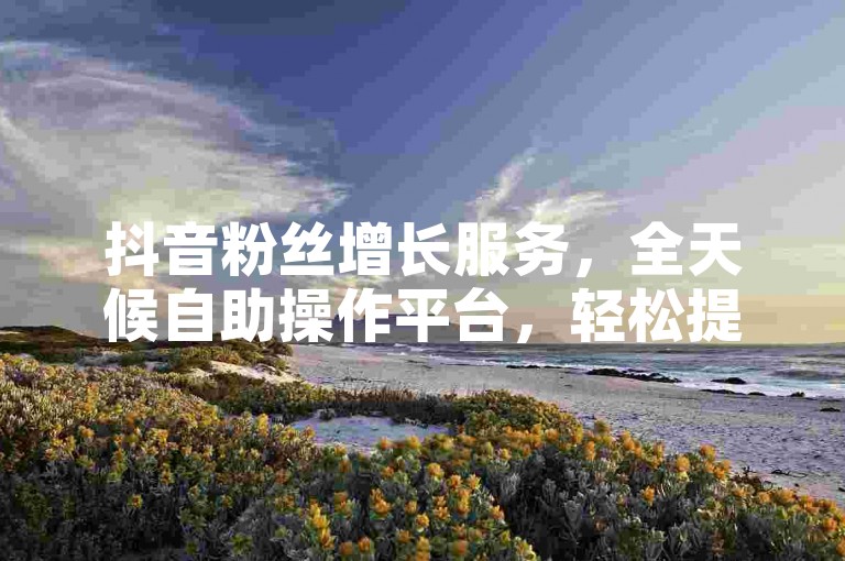 抖音粉丝增长服务，全天候自助操作平台，轻松提升视频热度。
