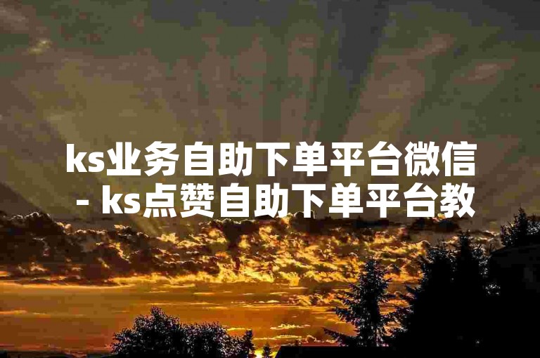 ks业务自助下单平台微信 - ks点赞自助下单平台教程