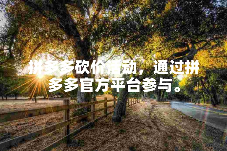拼多多砍价活动，通过拼多多官方平台参与。