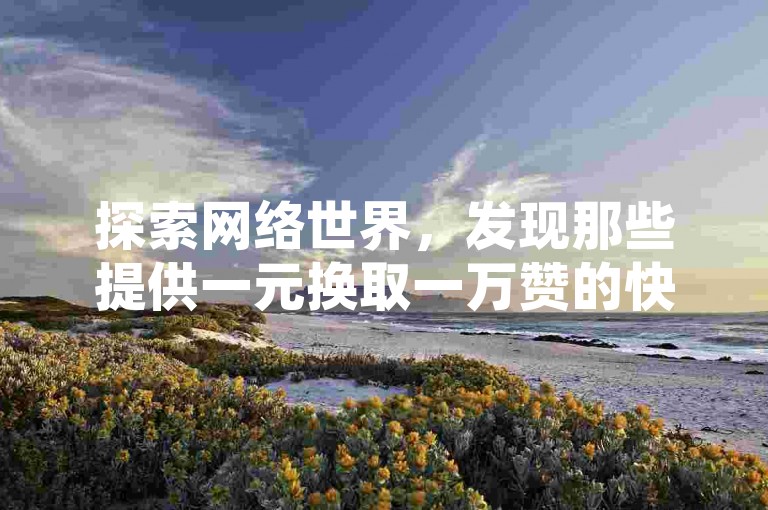 探索网络世界，发现那些提供一元换取一万赞的快手服务站点以及QQ空间自助点赞平台的奥秘。