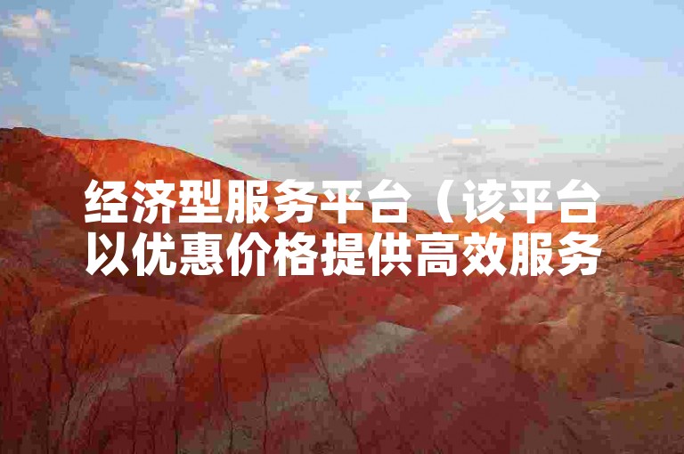 经济型服务平台（该平台以优惠价格提供高效服务）