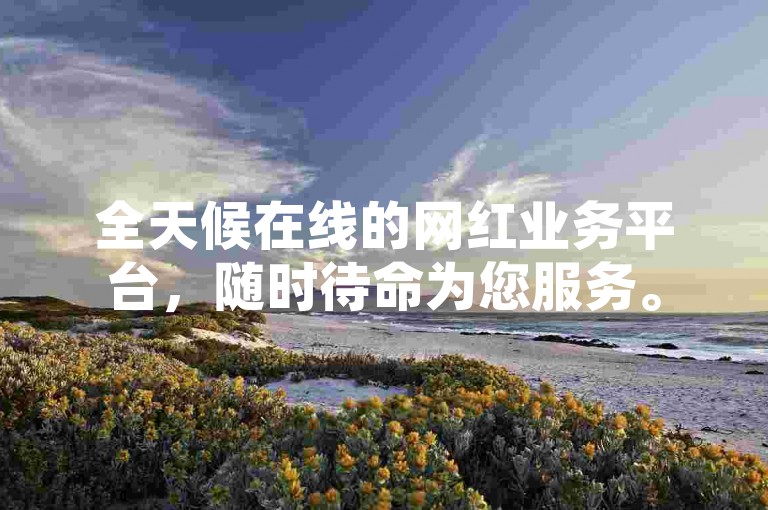 全天候在线的网红业务平台，随时待命为您服务。
