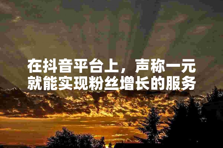 在抖音平台上，声称一元就能实现粉丝增长的服务，其真实性和可靠性是值得怀疑的。