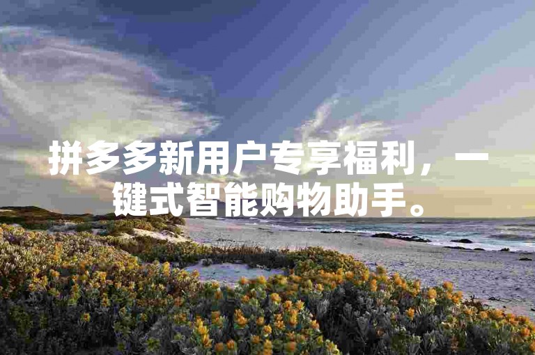 拼多多新用户专享福利，一键式智能购物助手。
