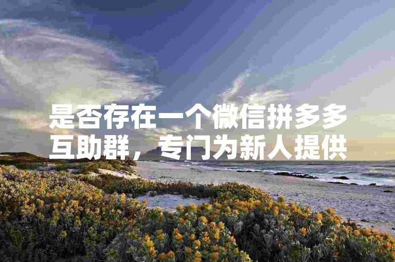 是否存在一个微信拼多多互助群，专门为新人提供助力服务？