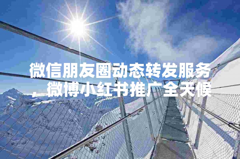 微信朋友圈动态转发服务，微博小红书推广全天候不间断 - 免费视频播放量提升工具 - 社交媒体营销助手平台。