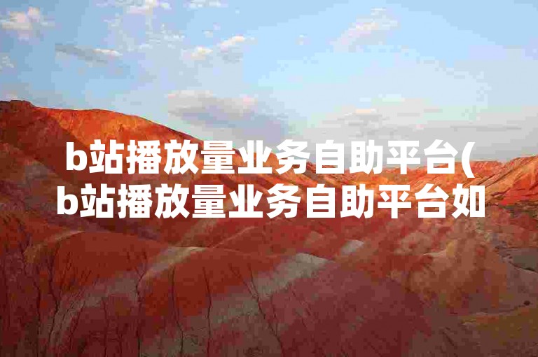 b站播放量业务自助平台(b站播放量业务自助平台如何使用)
