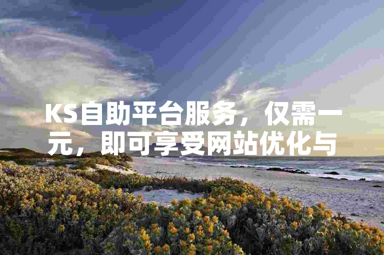 KS自助平台服务，仅需一元，即可享受网站优化与推广的便捷管理体验。