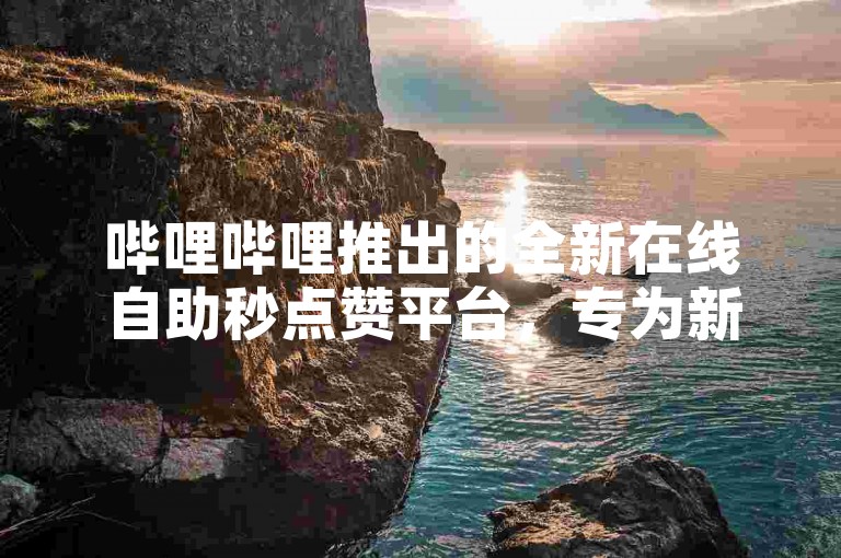 哔哩哔哩推出的全新在线自助秒点赞平台，专为新人设计，现已正式上线！