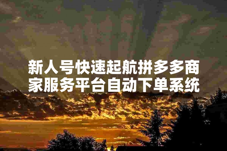 新人号快速起航拼多多商家服务平台自动下单系统。
