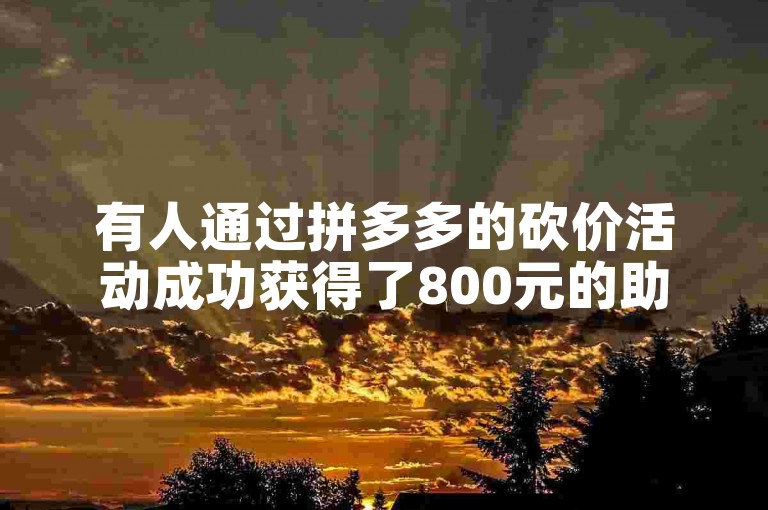 有人通过拼多多的砍价活动成功获得了800元的助力优惠吗？