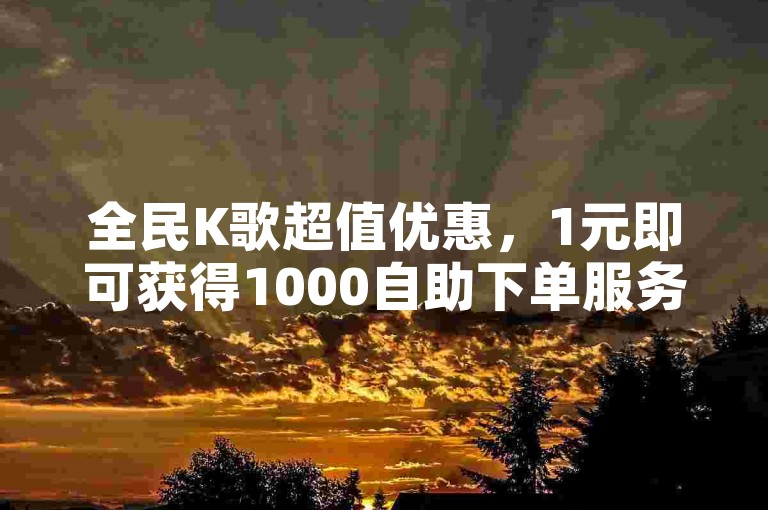 全民K歌超值优惠，1元即可获得1000自助下单服务，让你轻松成为K歌达人！