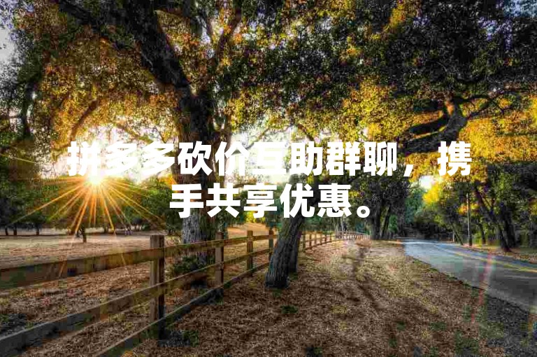 拼多多砍价互助群聊，携手共享优惠。