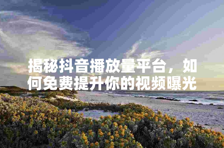 揭秘抖音播放量平台，如何免费提升你的视频曝光率，2024年必备技巧！