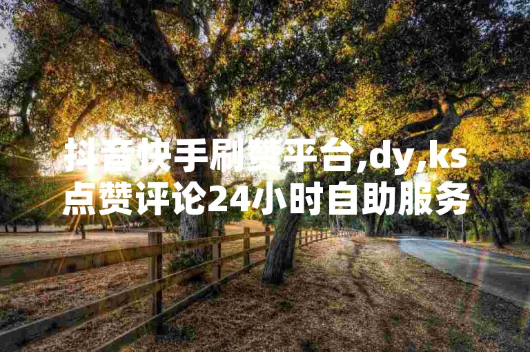 抖音快手刷赞平台,dy,ks点赞评论24小时自助服务网站。