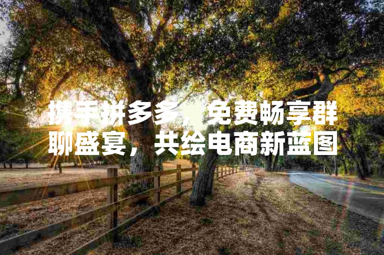 携手拼多多，免费畅享群聊盛宴，共绘电商新蓝图。