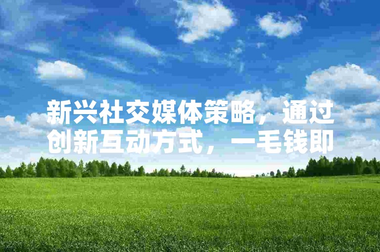 新兴社交媒体策略，通过创新互动方式，一毛钱即可获得1000赞。