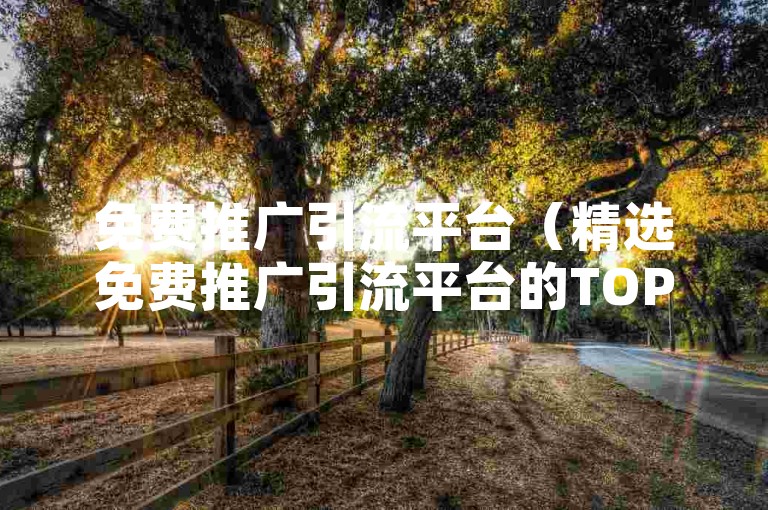 免费推广引流平台（精选免费推广引流平台的TOP排行）