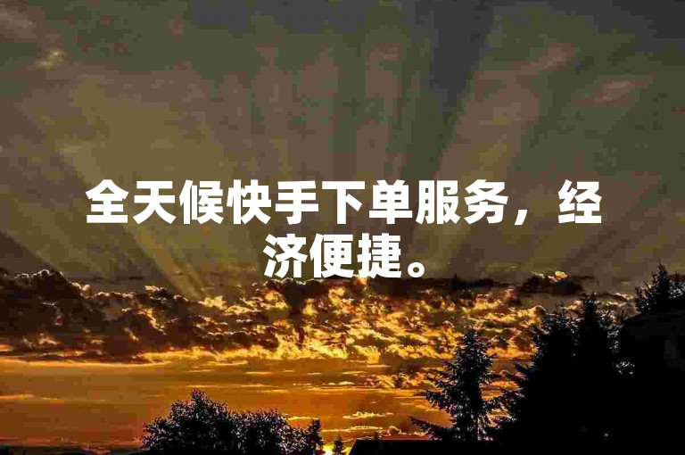 全天候快手下单服务，经济便捷。
