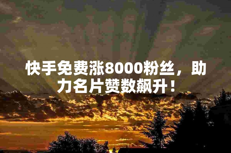 快手免费涨8000粉丝，助力名片赞数飙升！