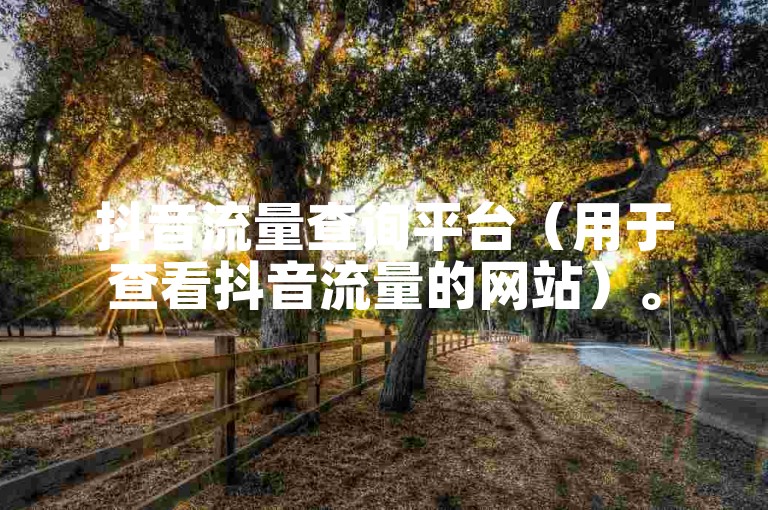 抖音流量查询平台（用于查看抖音流量的网站）。